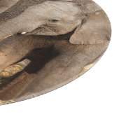 Planche À Découper Animaux de bébés cutest | Deux jeunes éléphants (Coin)