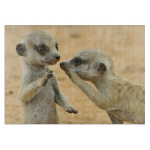 Planche À Découper Animaux de bébés cutest Deux jeunes Meerkats