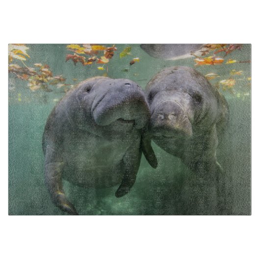 Planche À Découper Animaux de bébés cutest | Deux Manatees (Devant)