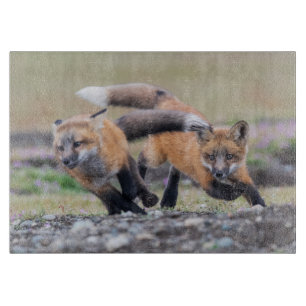 Planche À Découper Animaux de bébés cutest Fox Pups en jeu