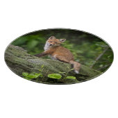 Planche À Découper Animaux de bébés cutest | Foxy Smile (Coin)