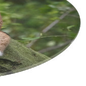 Planche À Découper Animaux de bébés cutest | Foxy Smile (Coin)