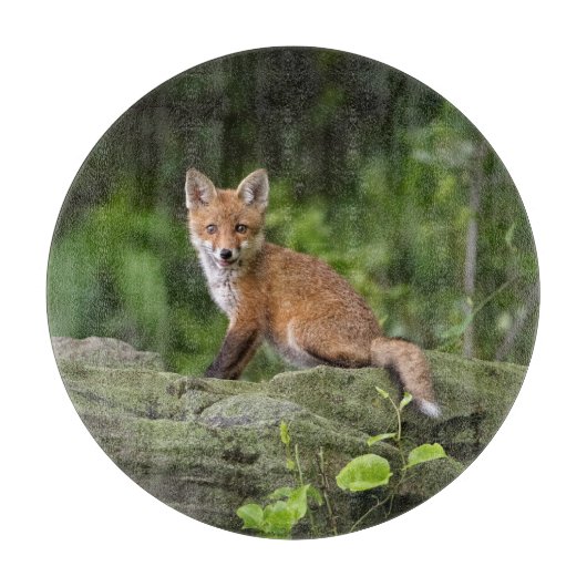 Planche À Découper Animaux de bébés cutest | Foxy Smile (Devant)
