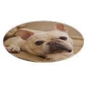 Planche À Découper Animaux de bébés cutest | French Bulldog Head Tilt (Coin)