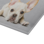 Planche À Découper Animaux de bébés cutest | French Bulldog Lying Dow (Coin)