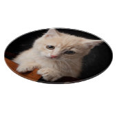 Planche À Découper Animaux de bébés cutest | Ginger Kitten (Coin)