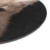 Planche À Découper Animaux de bébés cutest | Ginger Kitten (Coin)