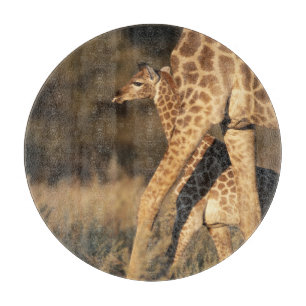 Planche À Découper Animaux de bébés cutest Girafe bébé et parent