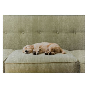 Planche À Découper Animaux de bébés cutest Golden Retriever Puppy 2