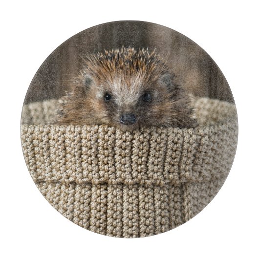Planche À Découper Animaux de bébés cutest | Hérisson dans un panier (Devant)