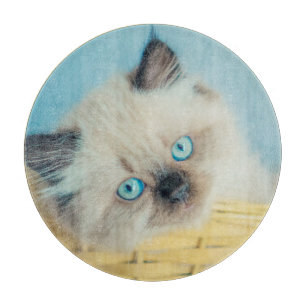 Planche À Découper Animaux de bébés cutest   Himalaya Seal Point Cat