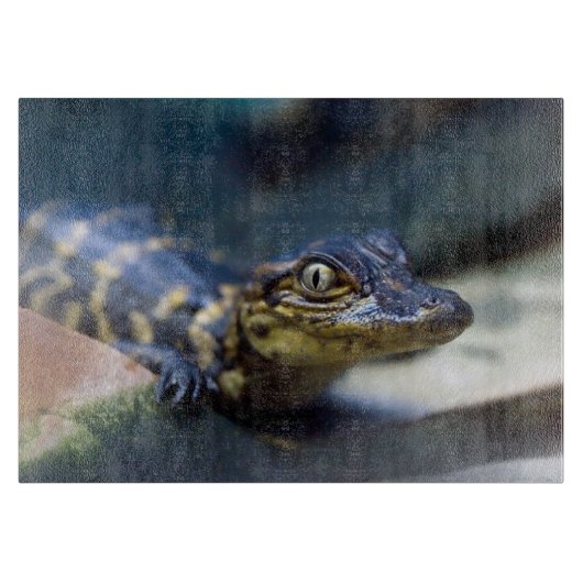 Planche À Découper Animaux de bébés cutest | Jeune alligator (Devant)