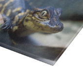 Planche À Découper Animaux de bébés cutest | Jeune alligator (Coin)