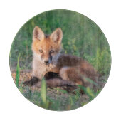 Planche À Découper Animaux de bébés cutest | Kit Red Fox Relaxant (Devant)