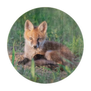 Planche À Découper Animaux de bébés cutest   Kit Red Fox Relaxant