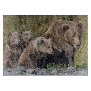 Planche À Découper Animaux de bébés cutest Kodiak Mama Bear & Cubs