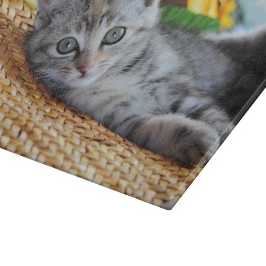 Planche À Découper Animaux de bébés cutest | Lounge Kitten (Coin)