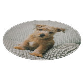 Planche À Découper Animaux de bébés cutest | Norfolk Terrier Puppy (Coin)