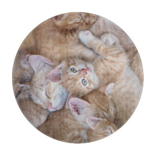 Planche À Découper Animaux de bébés cutest Orange Kitten Pile