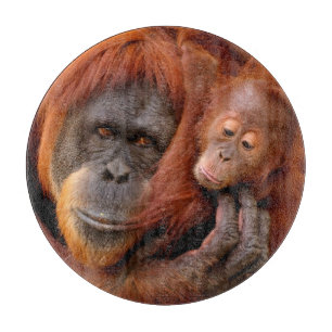 Planche À Découper Animaux de bébés cutest Orangutan Maman & Baby
