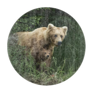 Planche À Découper Animaux de bébés cutest   Ours Mama Ours et ses pe