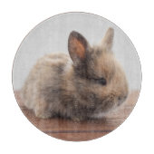 Planche À Découper Animaux de bébés cutest | Petit lapin bébé (Devant)