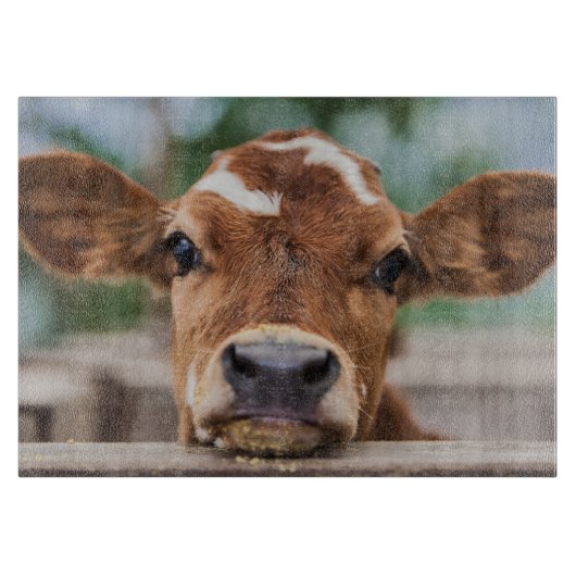 Planche À Découper Animaux de bébés cutest | Petite vache (Devant)