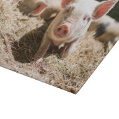 Planche À Découper Animaux de bébés cutest | Piglet bébé mignon (Coin)