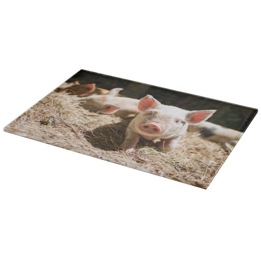 Planche À Découper Animaux de bébés cutest | Piglet bébé mignon (Coin)