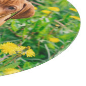 Planche À Découper Animaux de bébés cutest | Pointeur (Coin)