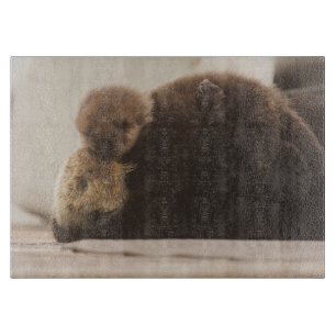 Planche À Découper Animaux de bébés cutest   Pompe Otter nouveau-né