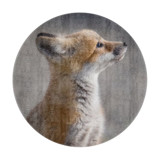 Planche À Découper Animaux de bébés cutest | Portrait Baby Fox (Devant)