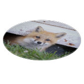 Planche À Découper Animaux de bébés cutest | Red Fox Kit Peeking (Coin)