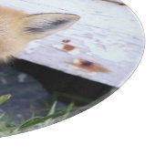 Planche À Découper Animaux de bébés cutest | Red Fox Kit Peeking (Coin)