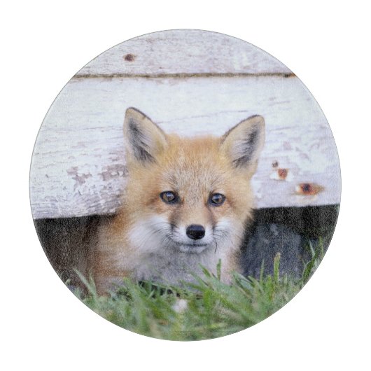 Planche À Découper Animaux de bébés cutest | Red Fox Kit Peeking (Devant)