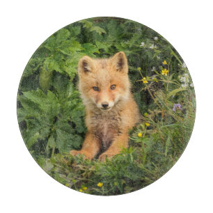 Planche À Découper Animaux de bébés cutest Renard rouge à Umnak Ala