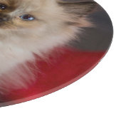 Planche À Découper Animaux de bébés cutest | Siamese Kitten (Coin)