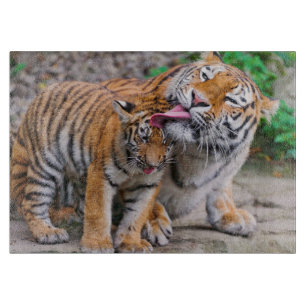 Planche À Découper Animaux de bébés cutest Sibérie Tiger Famille