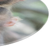Planche À Découper Animaux de bébés cutest | Singes japonais (Coin)
