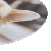 Planche À Découper Animaux de bébés cutest | Sleepy Corgi (Coin)