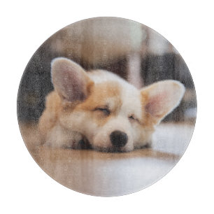 Planche À Découper Animaux de bébés cutest Sleepy Corgi