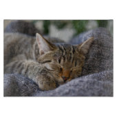 Planche À Découper Animaux de bébés cutest | Tabby Kitten Sommeil (Devant)