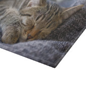 Planche À Découper Animaux de bébés cutest | Tabby Kitten Sommeil (Coin)