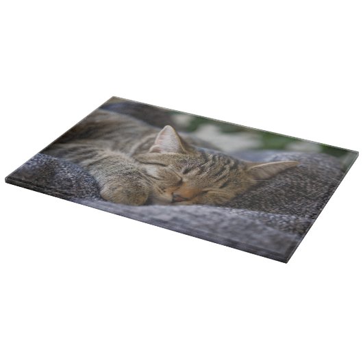 Planche À Découper Animaux de bébés cutest | Tabby Kitten Sommeil (Coin)