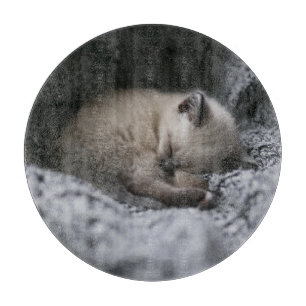 Planche À Découper Animaux de bébés cutest Tiny Kitten Dormir