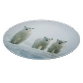 Planche À Découper Animaux de bébés cutest | Trois jeunes ours polair (Coin)