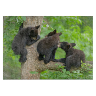 Planche À Découper Animaux de bébés cutest   Trois jeunes petits ours