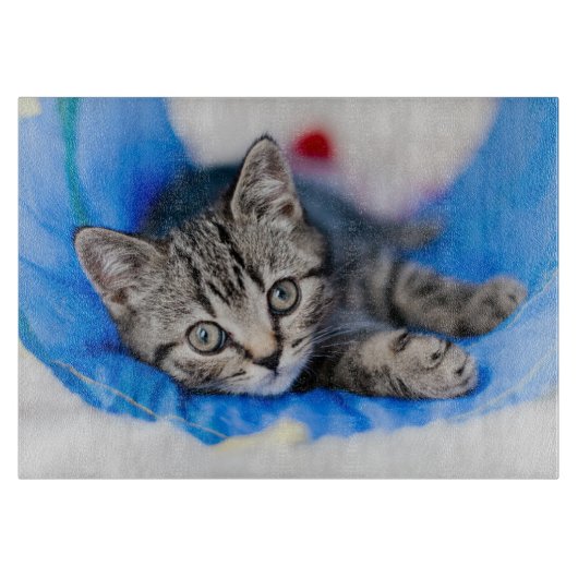 Planche À Découper Animaux de bébés cutest | Tunnel Tabby Kitten en J (Devant)