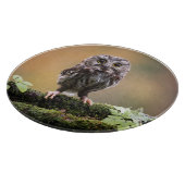 Planche À Découper Animaux de bébés cutest | Un hibou-bébé (Coin)