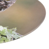 Planche À Découper Animaux de bébés cutest | Un hibou-bébé (Coin)